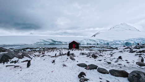 Port-Lockroy-Gebäude-Antarktis-Zeitraffer-Halbinsel-Bucht-Hafen-Nordwestküste-Der-Wiener-Insel-Pinguine-Große-Anzahl-Südlicher-Betriebsbereiter-Postämter-Auf-Der-Welt