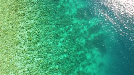 aerial view flying over coral reef ecosystem and crystal clear ocean water of coral triangle in east timor, southeast asia