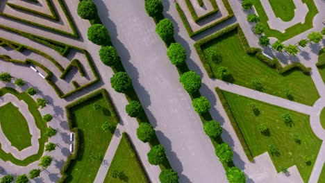 Trees-In-The-Baroque-Garden-Of-Schloss-Hof-In-Austria---aerial-top-down