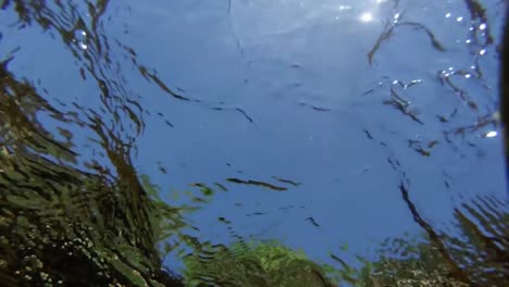 agua corriente en un día soleado