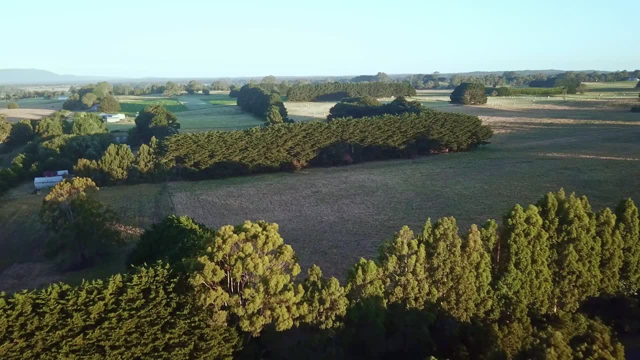 Imagem aérea afastada do sol de cinturões de árvores em campos perto de East Trentham, centro de Victoria, Austrália.