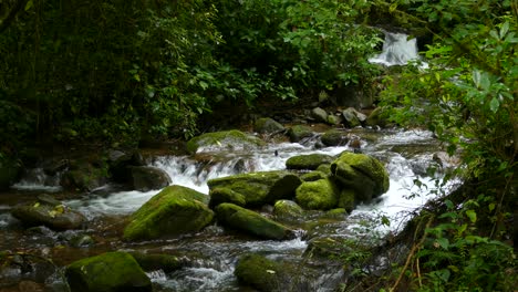 El-Agua-Corre-Rápidamente-Río-Abajo-Desde-Pequeñas-Cascadas-Que-Fluyen-Sobre-Y-Alrededor-De-Rocas-Cubiertas-De-Musgo-En-Una-Hermosa-Escena-Verde