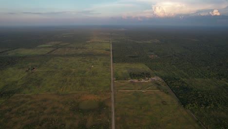 tomada de drones de la jungla de yucatán en méxico