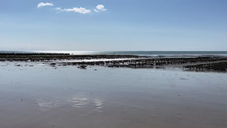 muschel- und austernschalenzucht im atlantischen ozean in brehal, granville in frankreich