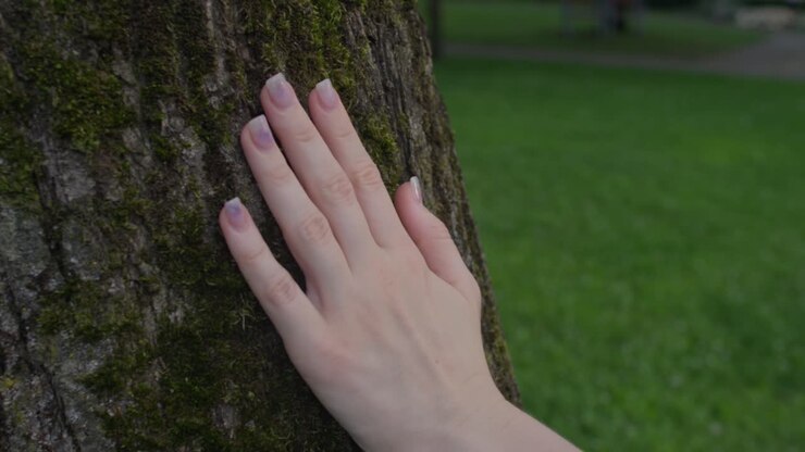 Beautiful hands feeling and caressing gently the bark of the tree