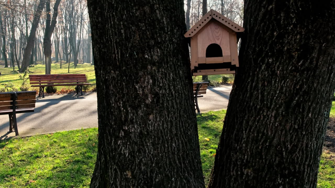 View of Copou Park in Iasi, Romania. Benches, alley, bare trees, green grass