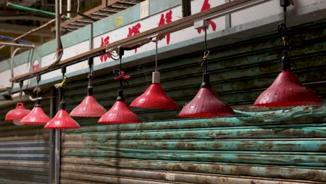 red lanterns glow at a closed stall in a hong kong wet market late at night, highlighting traditional chinese market decorations.