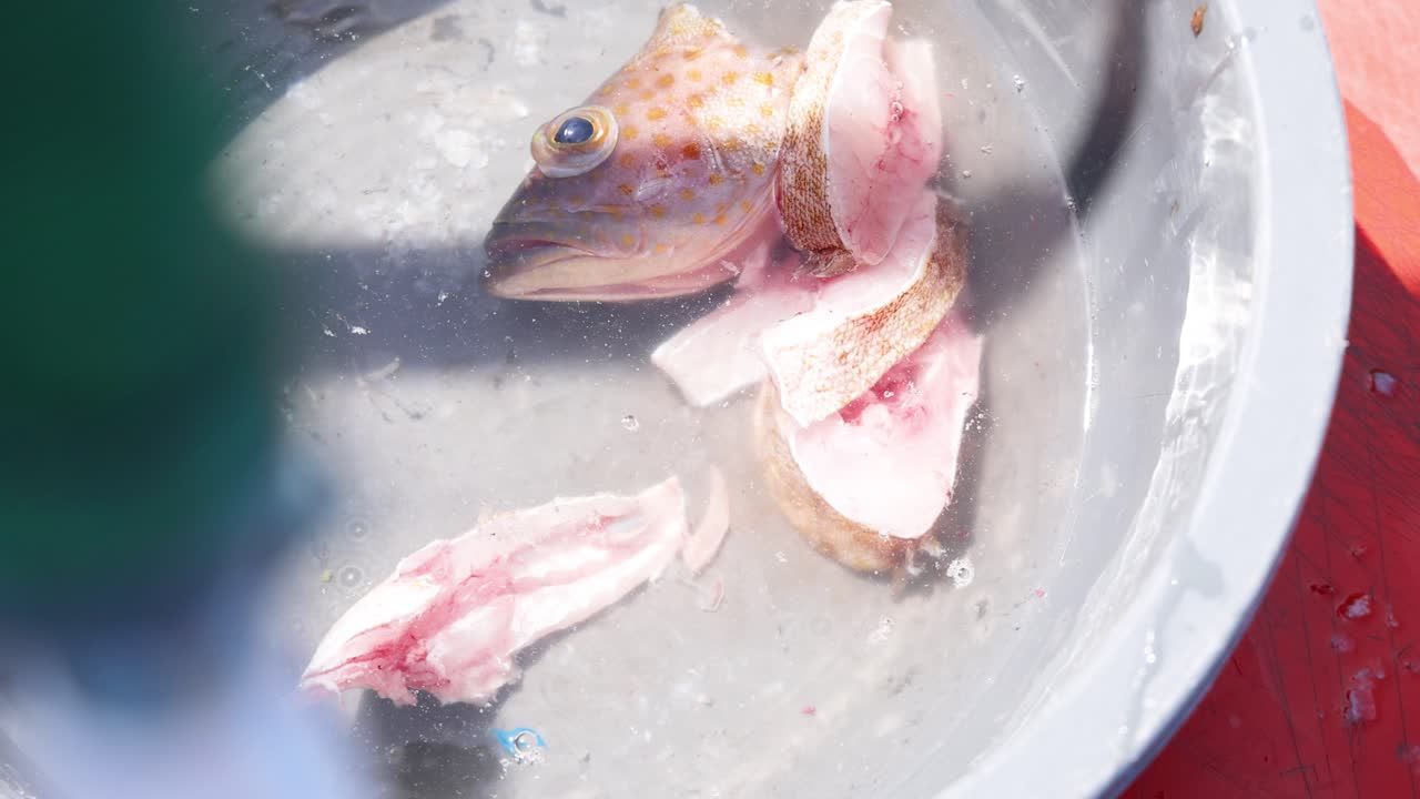 Fish and slices in a bowl, Phuket, Thailand