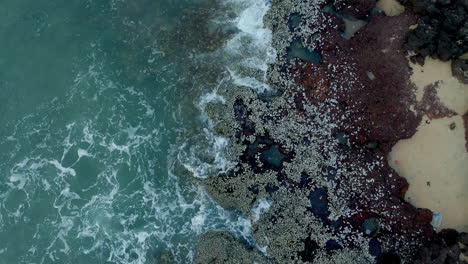 waves splashing on sea shore rocks