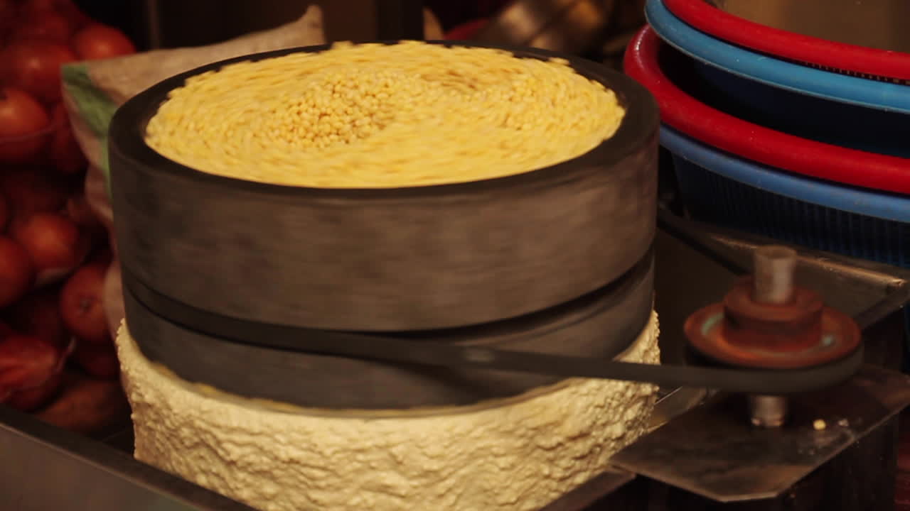 Soybean Processing Machine