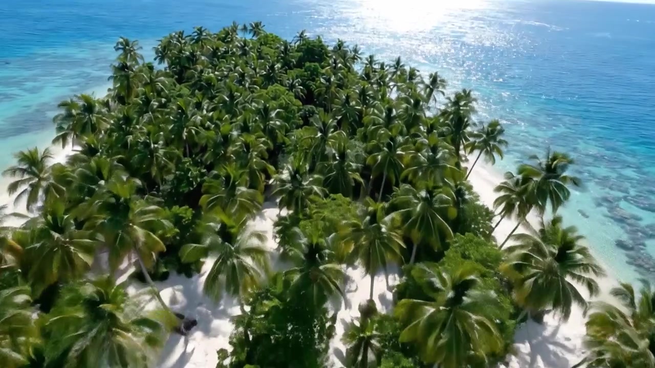 Vista Aerea di un'Isola Tropicale Serena con Lussureggianti Palme e Acque Cristalline Sotto un Cielo Luminoso, che Mostra la Bellezza e la Tranquillità della Natura