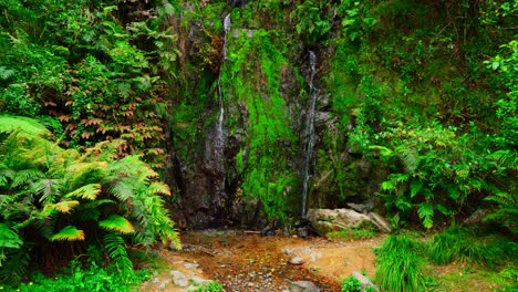 nature walks in rural auckland, small waterfall