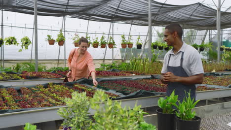 selecting plants in greenhouse, gardening enthusiast discussing with staff, smiling