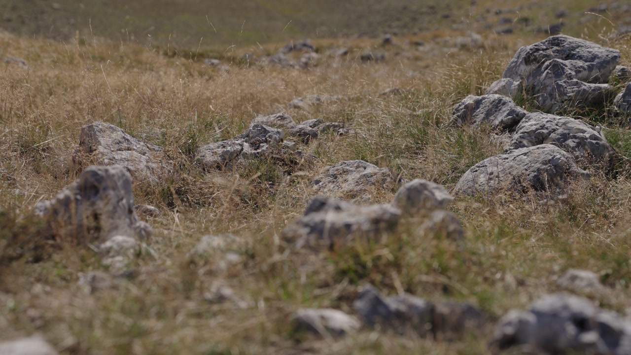Rocky meadow in the Durmitor massif, part of the Dinaric Alps, during the day in northwestern Montenegro, static shot