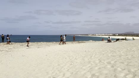 family enjoying a sunny day at a beautiful beach