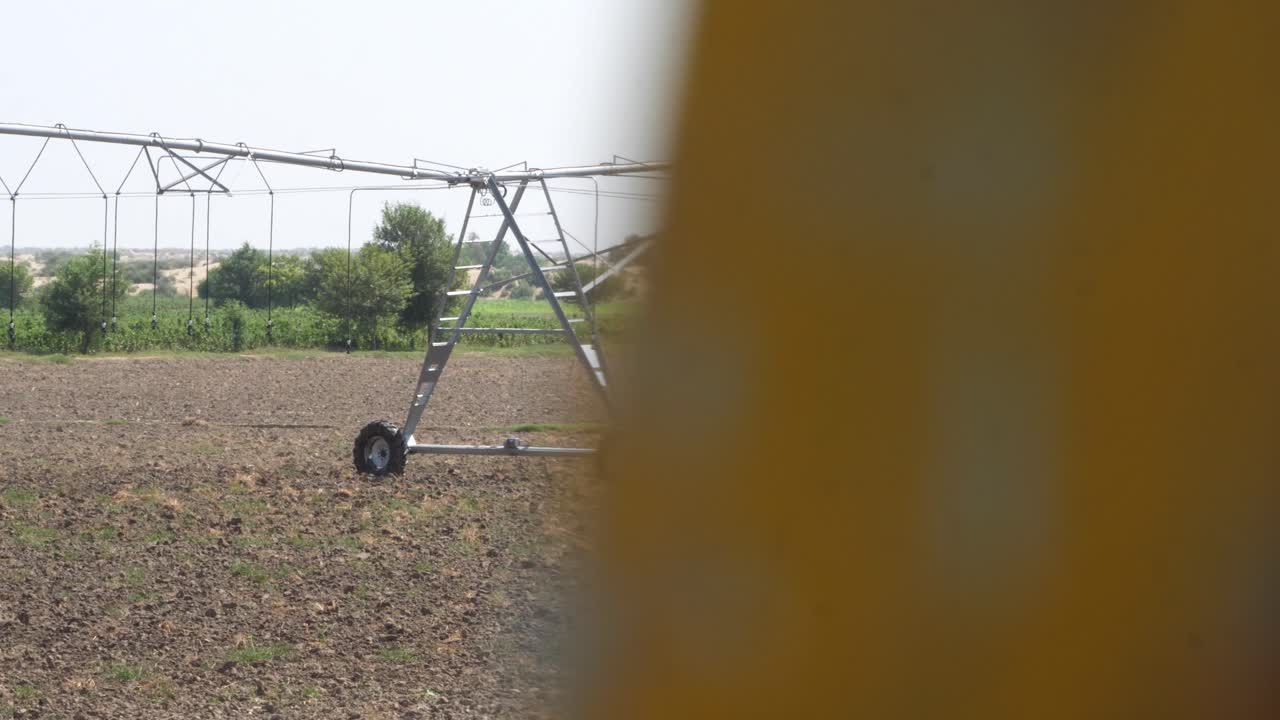 agricultura riego de maiz