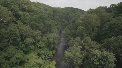 high wide shot of the wissahickon creek, from the walnut lane bridge