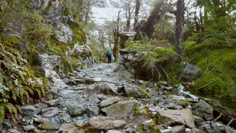 Low-angle-follow-through-shot-of-solo-woman-backpacker,-hiking-through-rough-terrain-amidst-dense-forest