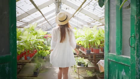 woman visiting a greenhouse