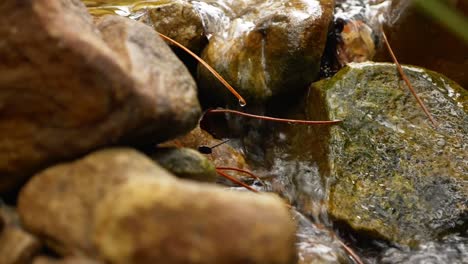 close up slow motion of river flowing through stream over rocks