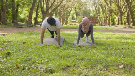 couple doing push-ups in a park