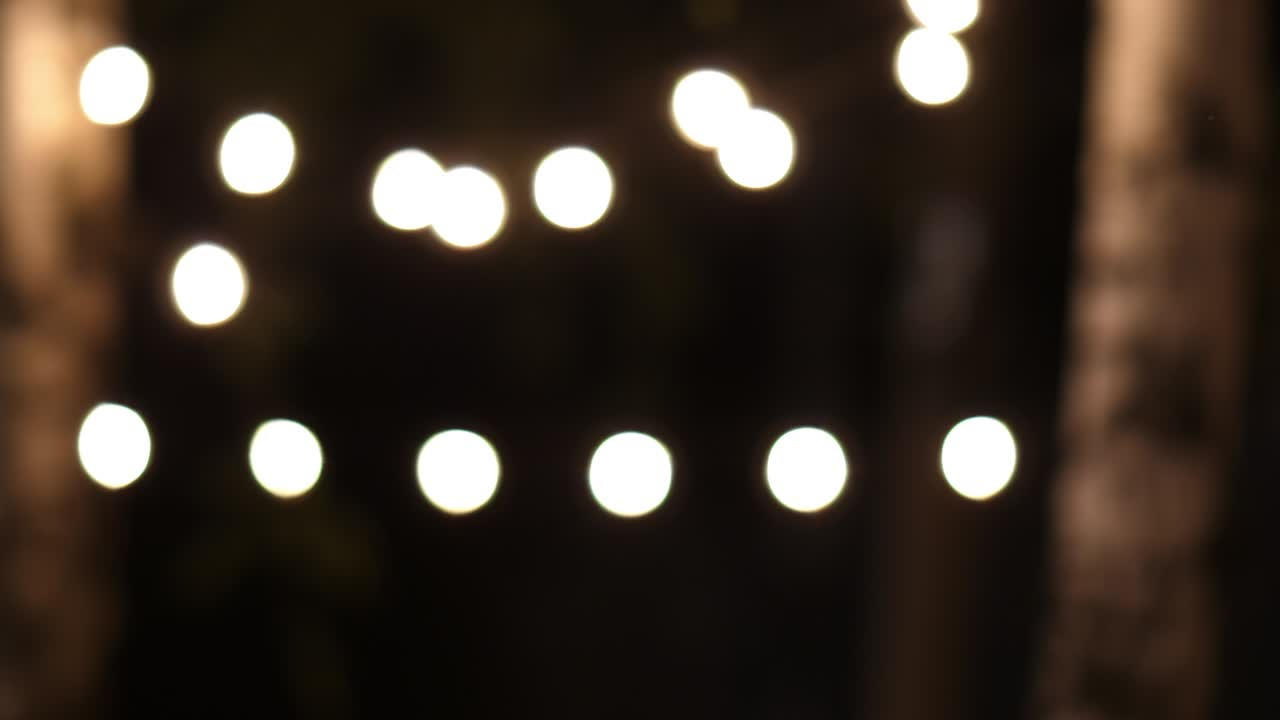 luces nocturnas en los árboles. fondo