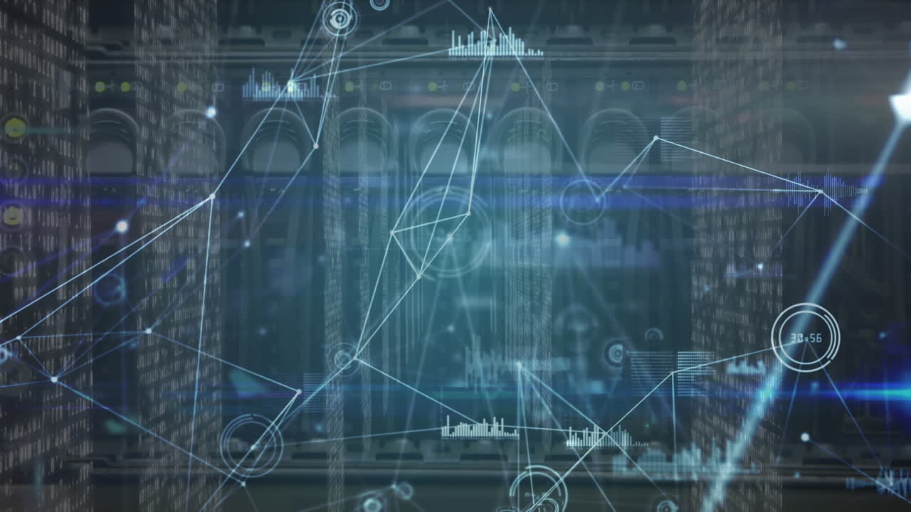 Animation of network of connections and diverse data over servers