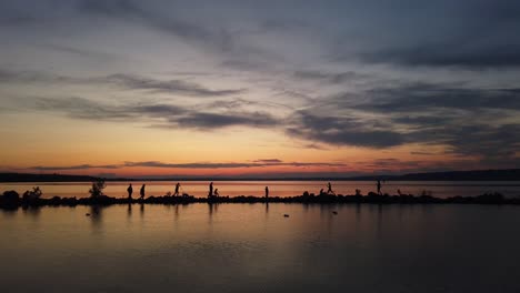 people walking around a fishing place at lake balaton in the sunset