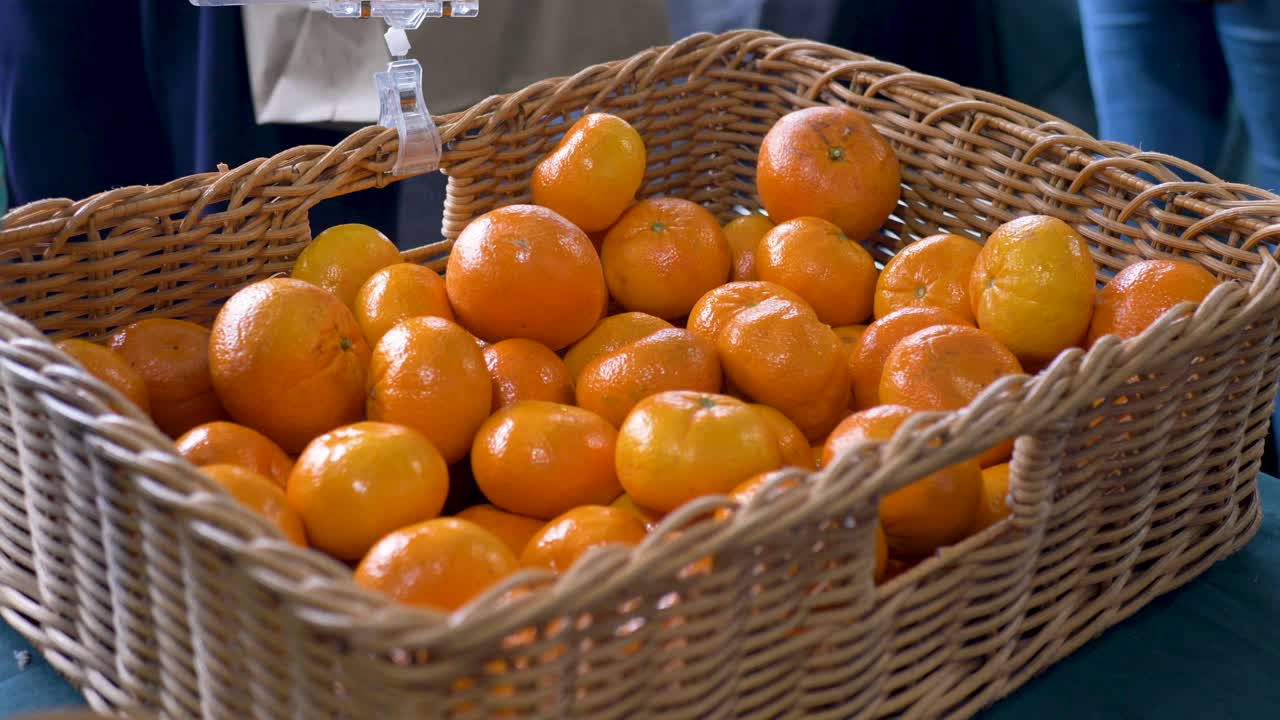 Slow motion close up of a basket filled with fresh and juicy mandarin fruit at a local farmer's market harvest stall on the Central Coast NSW Australia nature, farming, tourism and agriculture