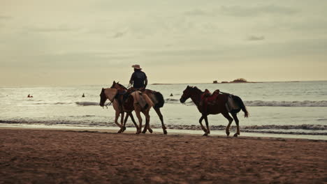 slow motion panoramic view of tamarindo beach in costa rica. people have a good time and horseback riding on the beach. view of the tropical beach at sunset. waves coming to the shore.