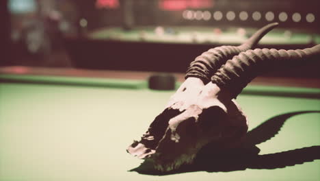 an antelope skull on a pool table