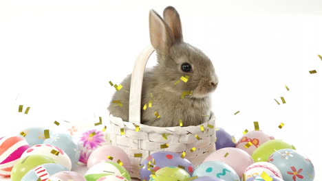 animation of confetti falling over rabbit in basket and easter eggs on white background