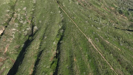 60-Fps-Koko-Head-Kraterwanderung-Nach-Oben-Schwenken-Zeitlupe-Drohne-Luft-Hawaii-Kai-Oahu