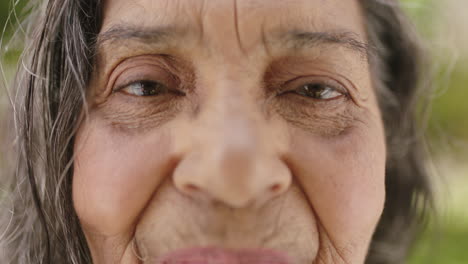 retrato en primer plano de una anciana india sonriendo mirando a la cámara ojos arrugas de la piel