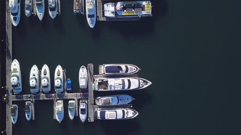 beautiful yards parked in sydneys harbour. birdseye shot