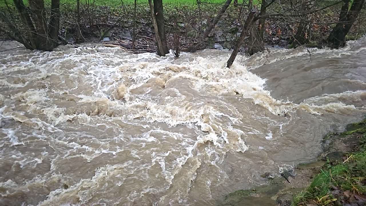 Turbulent Muddy River Flowing Through a Forest