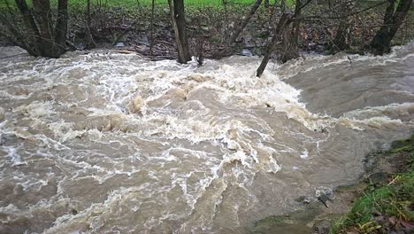 turbulent muddy river flowing through a forest