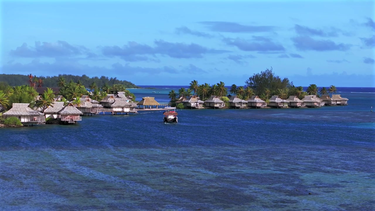 Sejlbåde, yachter, Opunohu Bungalows bygninger over Cook's Bay koralrevskanal. Bora Bora, Moorea, Fransk Polynesien. Luftdrone over Tahiti-øen, Ta'ahiamanu offentlige strand. Morgen, solrig blå himmel, cirkulær udsigt.
