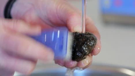 washing black truffle from the ground in australia