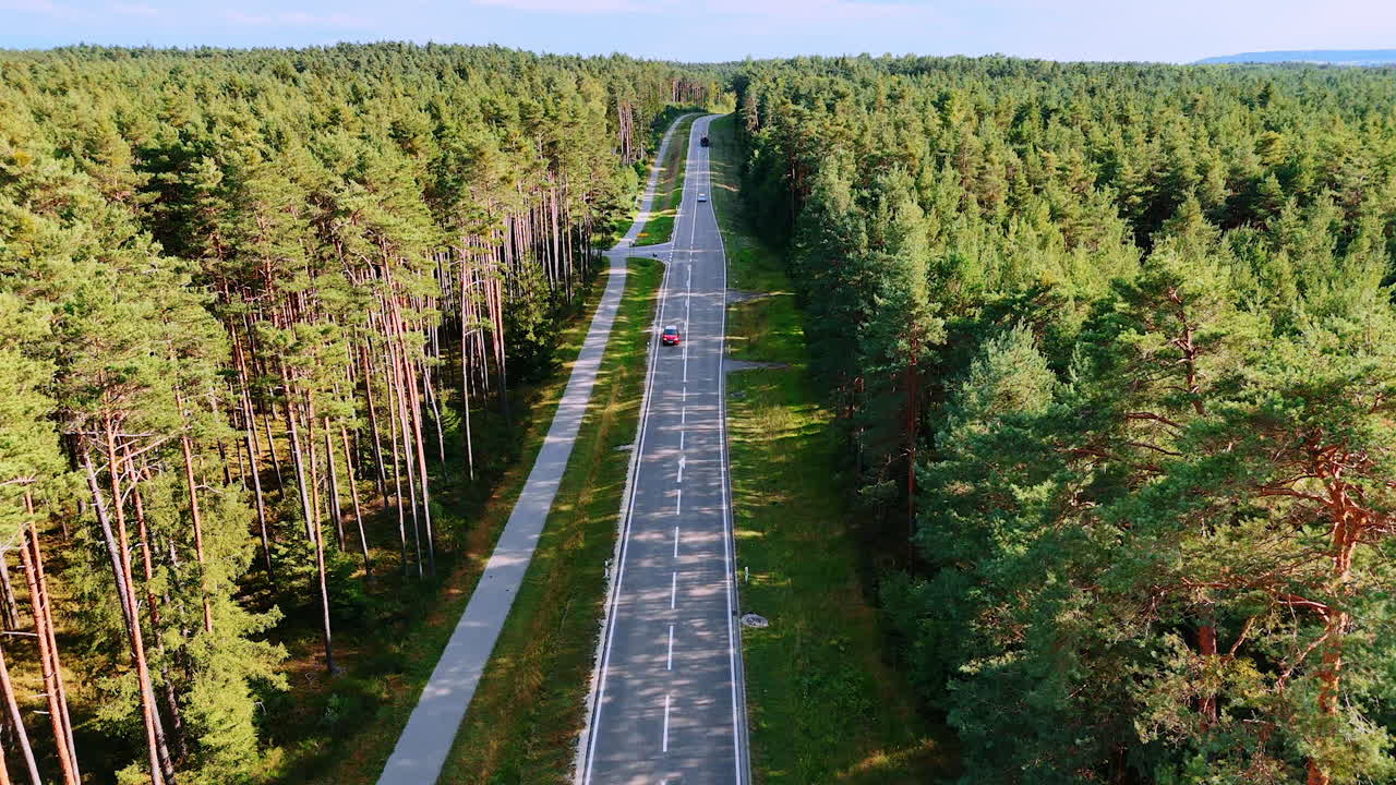 Cars moving along forest edge highway. Highway passing along a forest edge with cars driving under warm sunlight