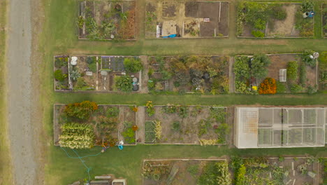 gardener slowly watering their plot in a community garden space