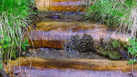 clear water from the mountain streams into a man-made path for the people to get water to drink