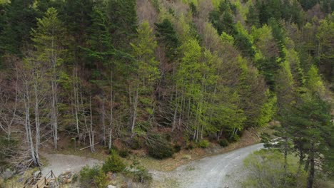 Fluss-Und-Wald-In-Den-Bergen-Im-Frühling-Mit-Schönen-Farben-In-Den-Bäumen