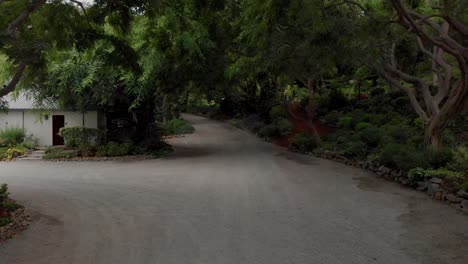 Fliegen-Sie-Durch-Die-Bäume-über-Die-überdachte-Einfahrt-Und-Den-Botanischen-Garten-In-Der-Nähe-Der-Pferdeställe-Von-Malibu