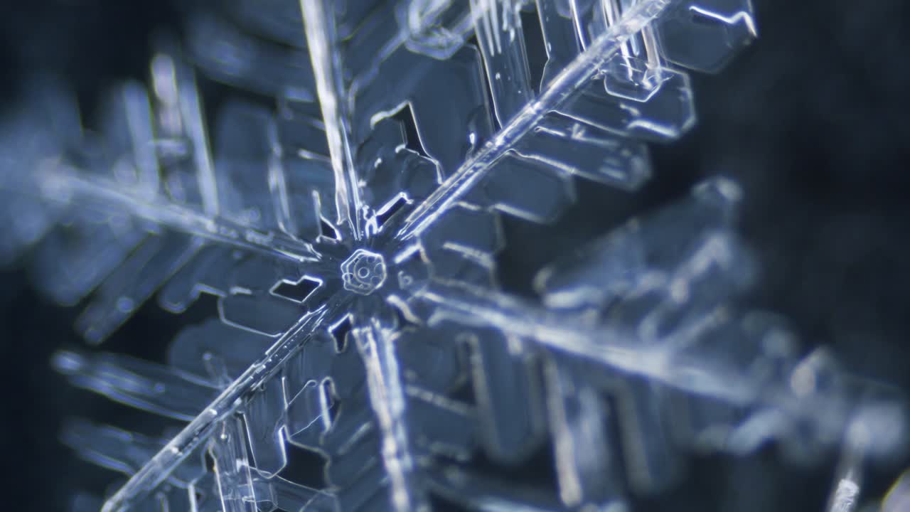 снежинка ледяной кристалл звездчатый дендрит под микроскопом