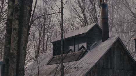 wooden cabin on the woods with chimney during winter