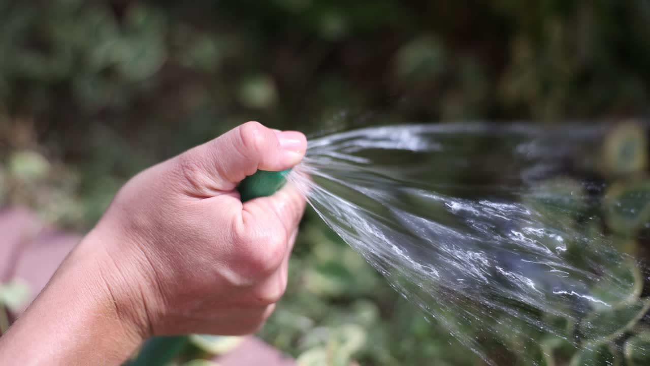 Watering Garden with Hose