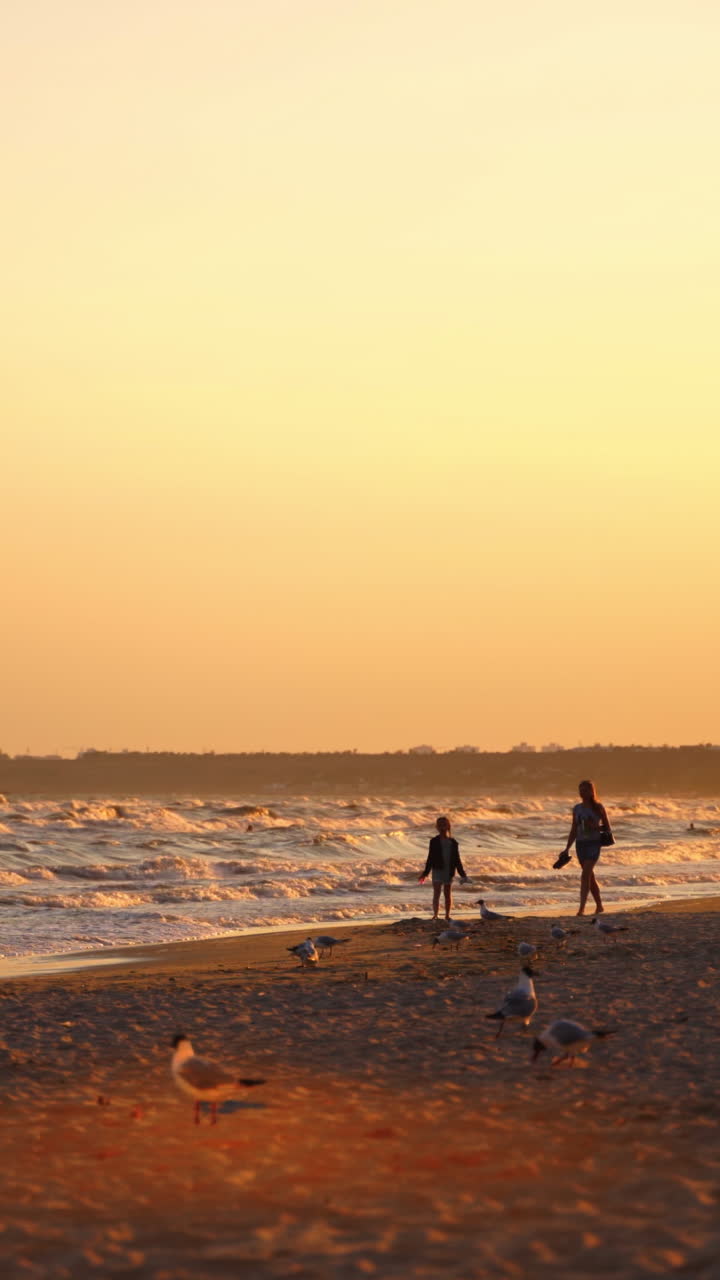 Evening sea with people and seagulls walking on shore. Many people go along the coastline at sunset. Seagulls trying to find food on beach. Vertical video