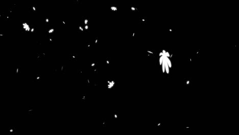 white cosmos falling particles motion graphics