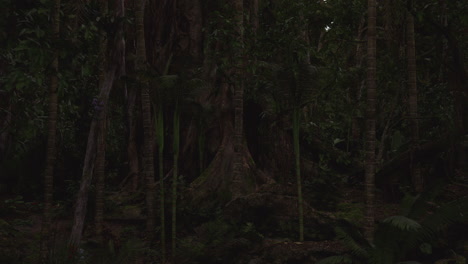 dark forest with towering trees and dense foliage during twilight hours